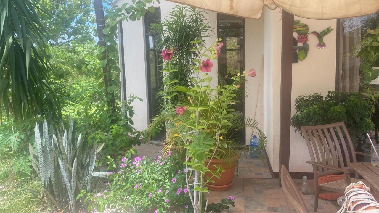 Villa Pura Vida Matapalo  Exteriér fotografie