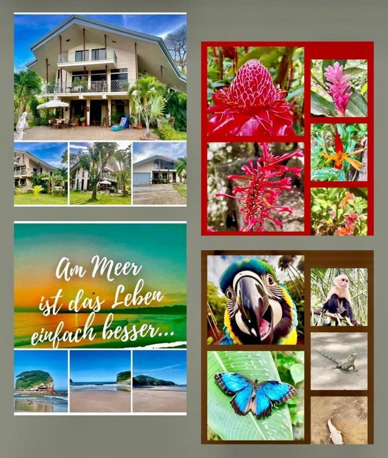 Villa Pura Vida Matapalo  Exteriér fotografie